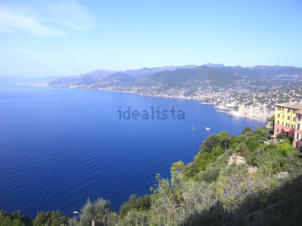 appartamento in vendita a Camogli