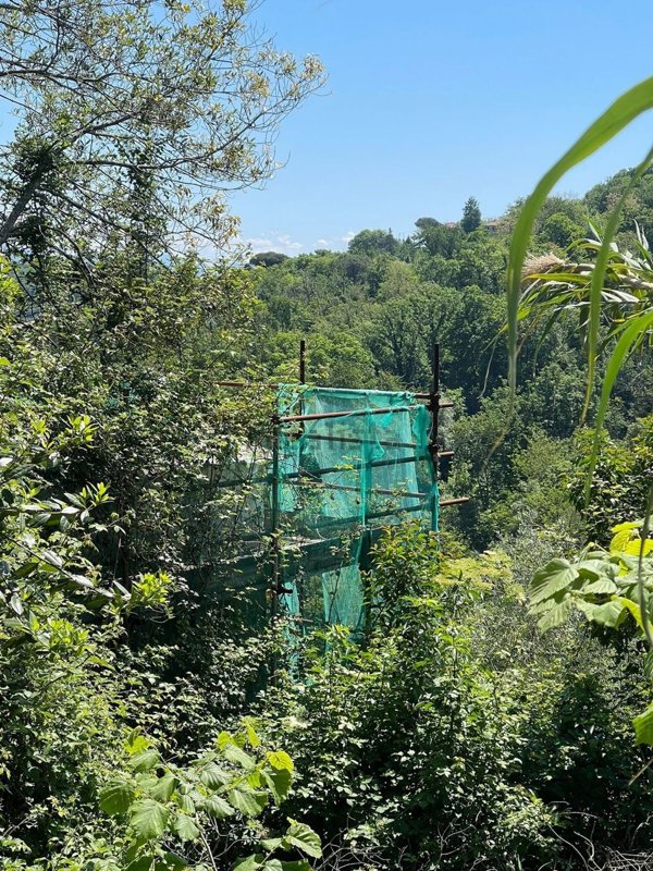 esavano in vendita a Camogli