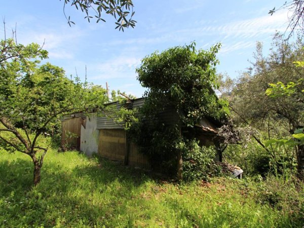 terreno agricolo in vendita a Camogli in zona San Rocco