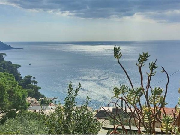 appartamento in vendita a Camogli