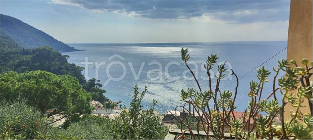appartamento in vendita a Camogli