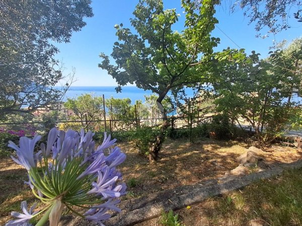 casa indipendente in vendita a Camogli
