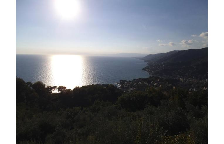 appartamento in vendita a Camogli in zona Ruta