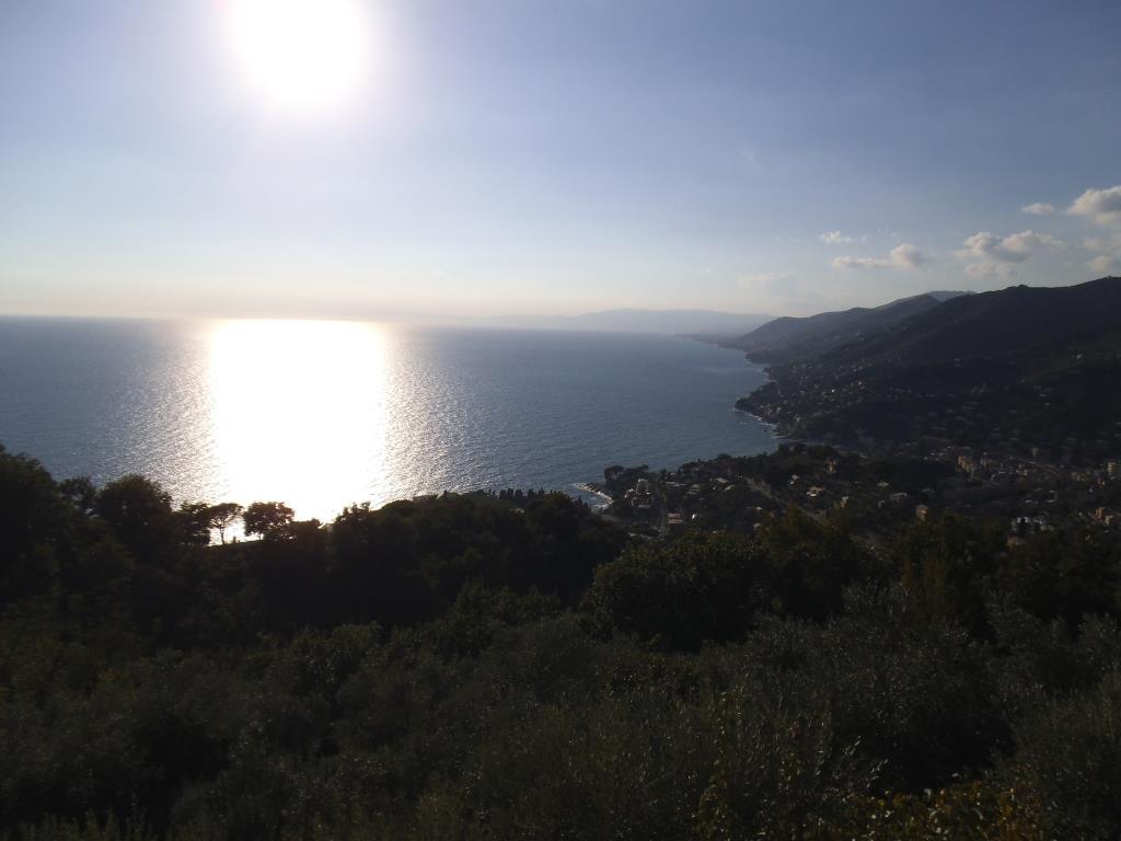appartamento in vendita a Camogli in zona Ruta