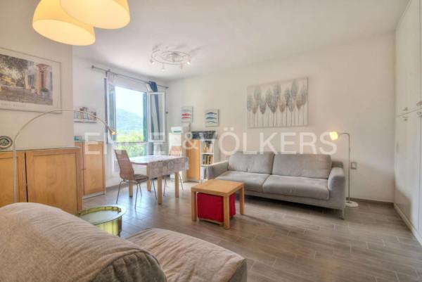 immagine annuncio 0 di 15