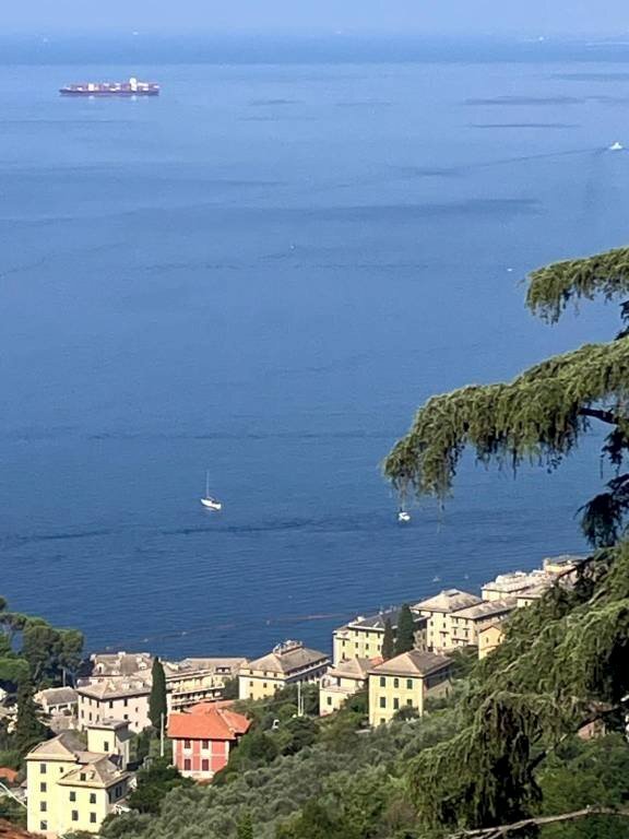 appartamento in vendita a Camogli in zona Ruta