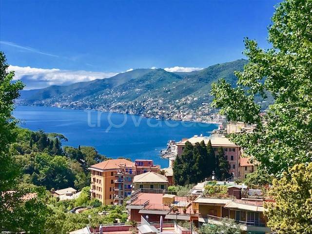 appartamento in vendita a Camogli