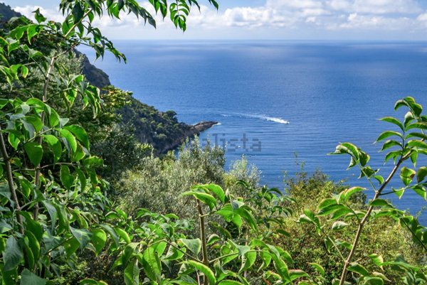 appartamento in vendita a Camogli in zona San Rocco