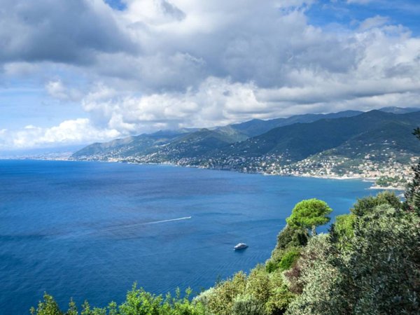 appartamento in vendita a Camogli in zona San Rocco