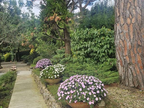 appartamento in vendita a Camogli in zona Ruta