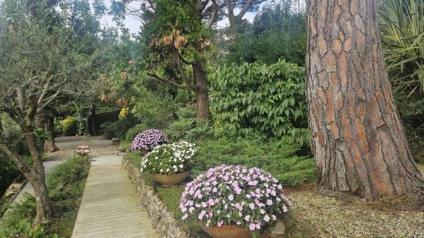 appartamento in vendita a Camogli in zona Ruta