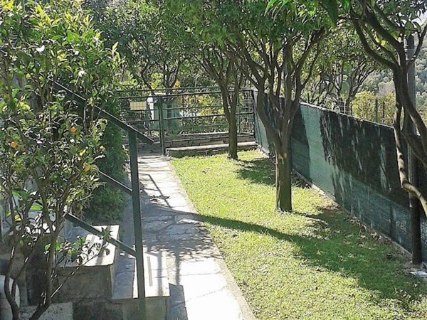 appartamento in vendita a Camogli