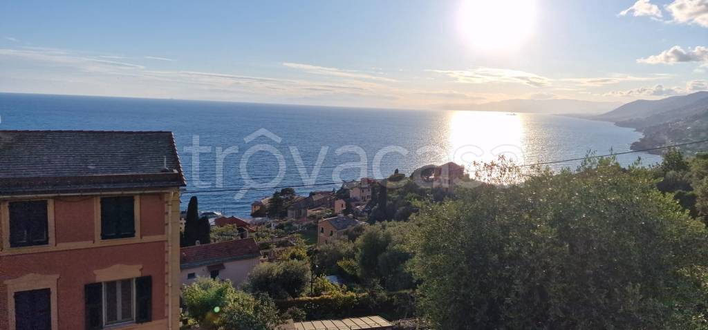 casa indipendente in vendita a Camogli in zona Ruta