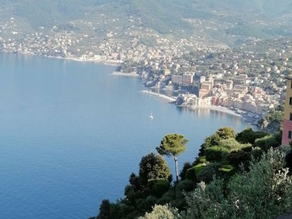 appartamento in vendita a Camogli in zona San Rocco