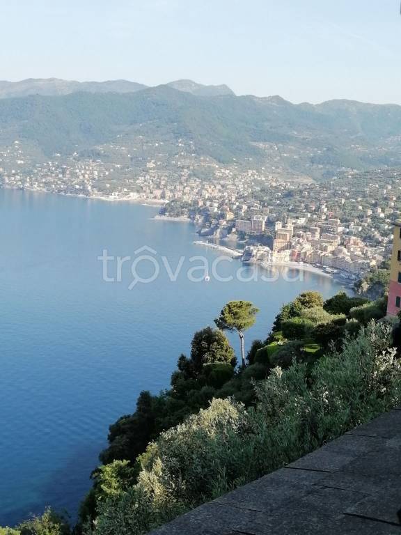 appartamento in vendita a Camogli in zona San Rocco