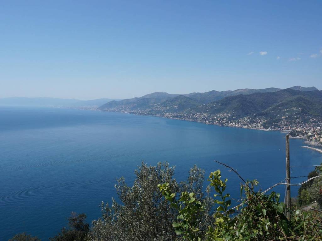 appartamento in vendita a Camogli in zona San Rocco