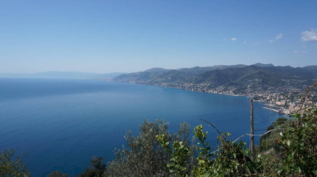 appartamento in vendita a Camogli in zona San Rocco