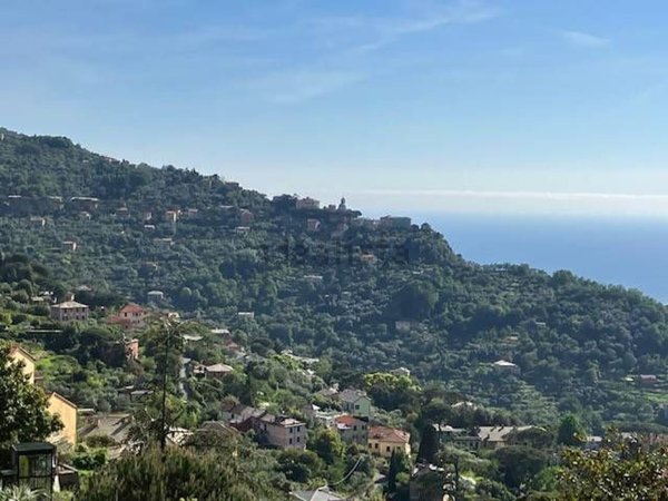 appartamento in vendita a Camogli