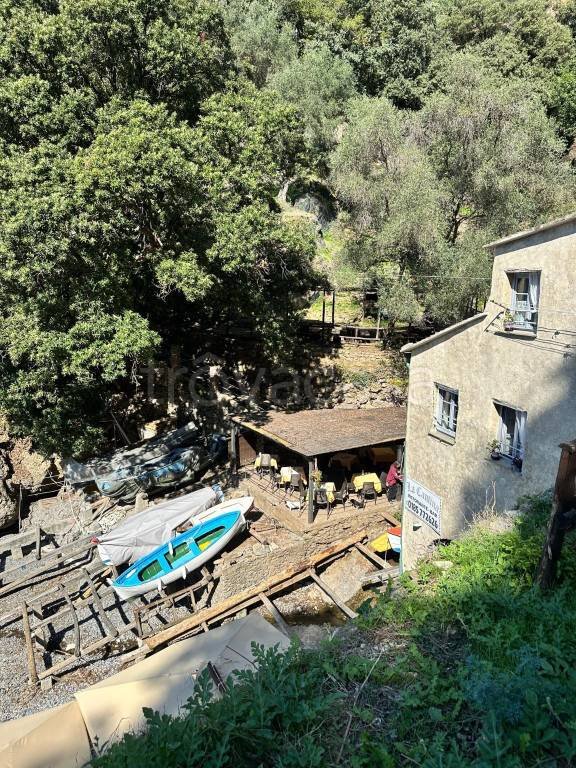 negozio in vendita a Camogli in zona San Fruttuoso