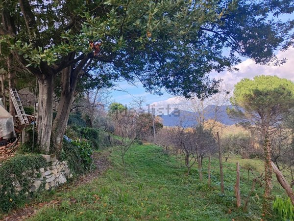 casa indipendente in vendita a Camogli