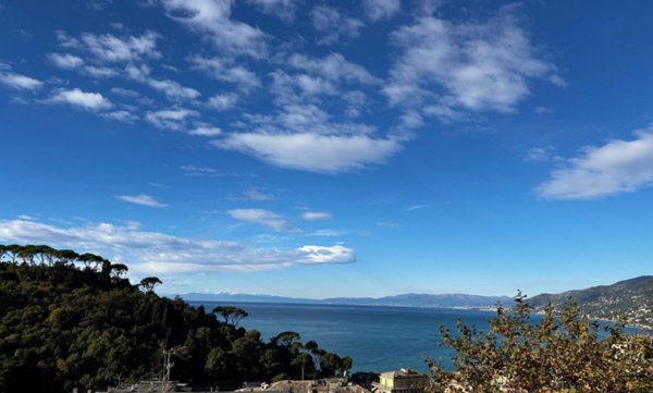 appartamento in vendita a Camogli