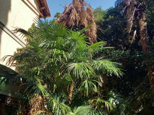 appartamento in vendita a Camogli