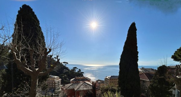 appartamento in vendita a Camogli