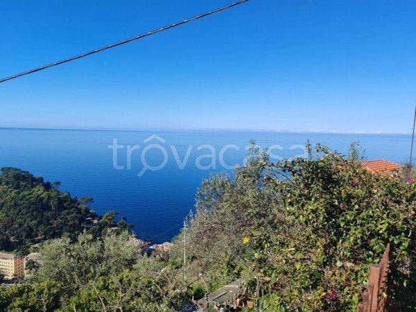 appartamento in vendita a Camogli