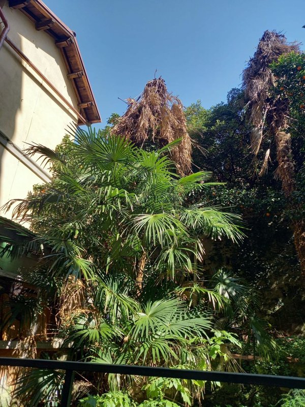 appartamento in vendita a Camogli