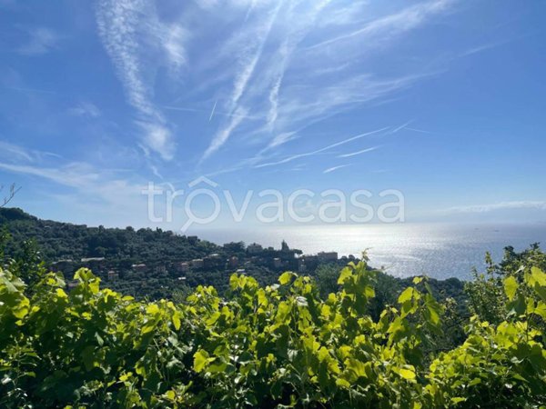 appartamento in vendita a Camogli in zona Ruta