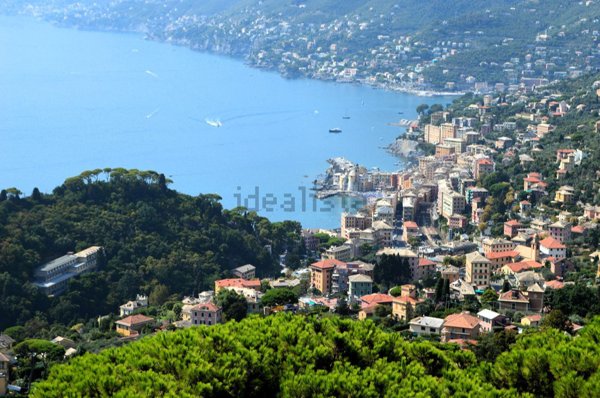 appartamento in vendita a Camogli in zona Ruta