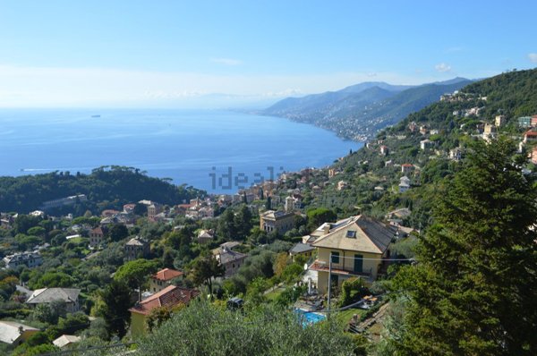 appartamento in vendita a Camogli in zona Ruta