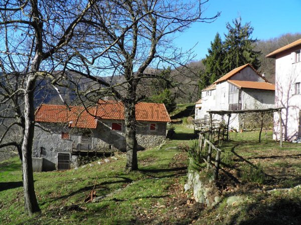esavano in vendita a Campomorone