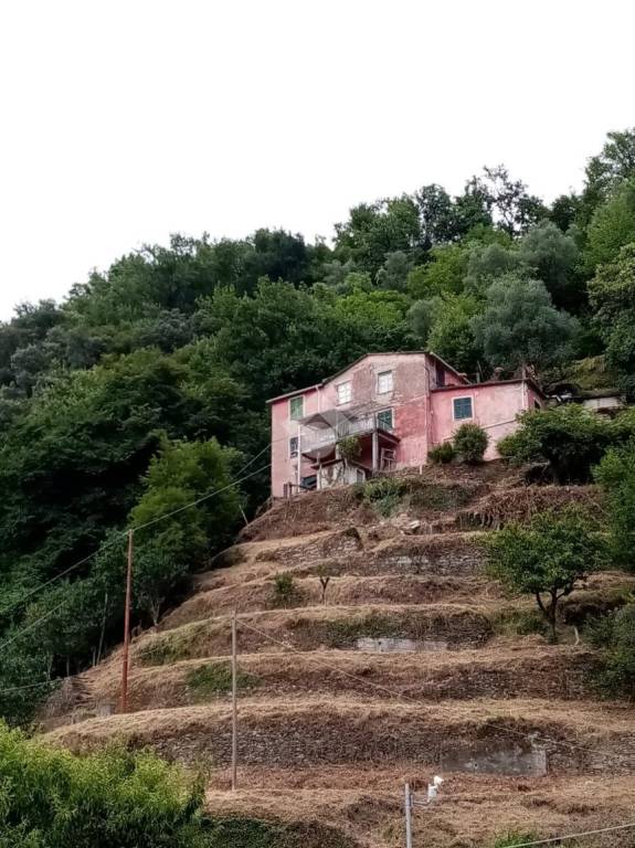 appartamento in vendita a Carasco