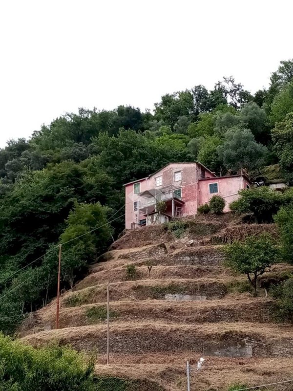 appartamento in vendita a Carasco