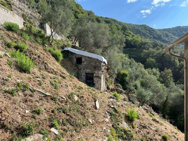 casa semindipendente in vendita a Carasco
