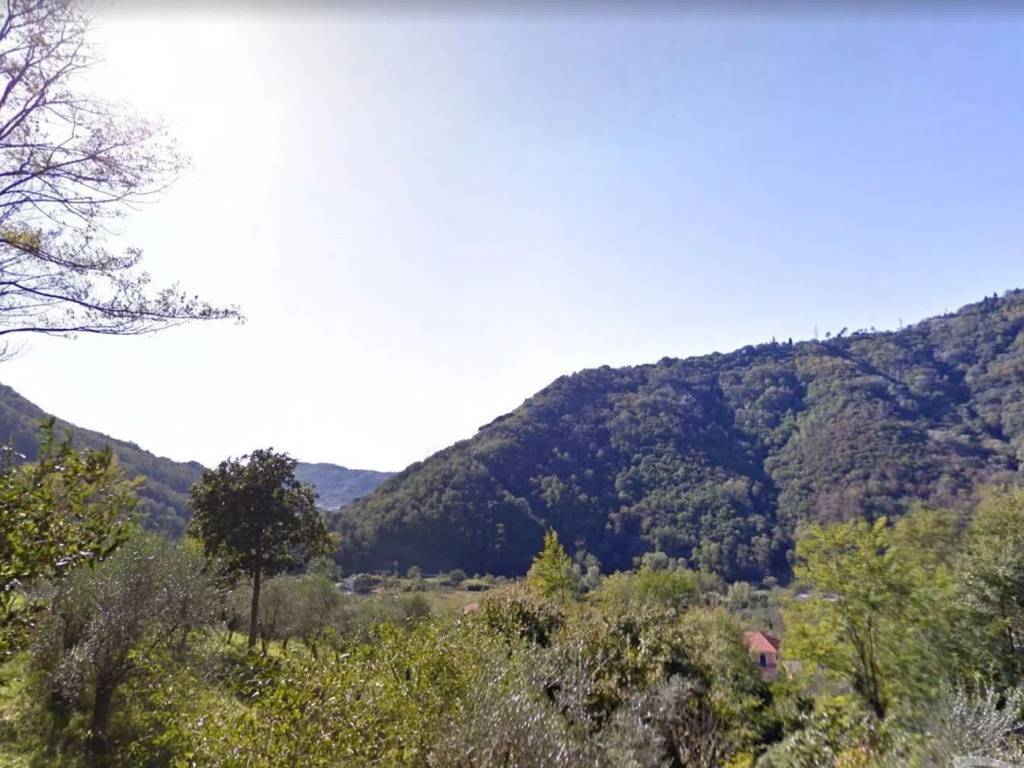 terreno agricolo in vendita a Carasco