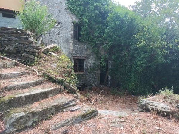 appartamento in vendita a Carasco