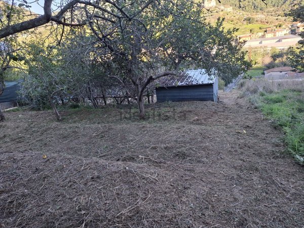 terreno agricolo in vendita a Carasco in zona San Pietro di Sturla
