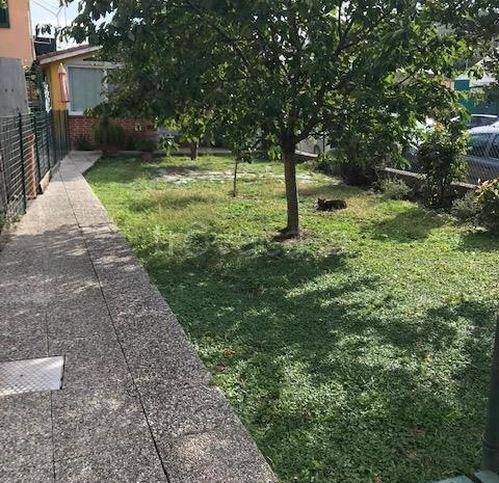 appartamento in vendita a Casarza Ligure