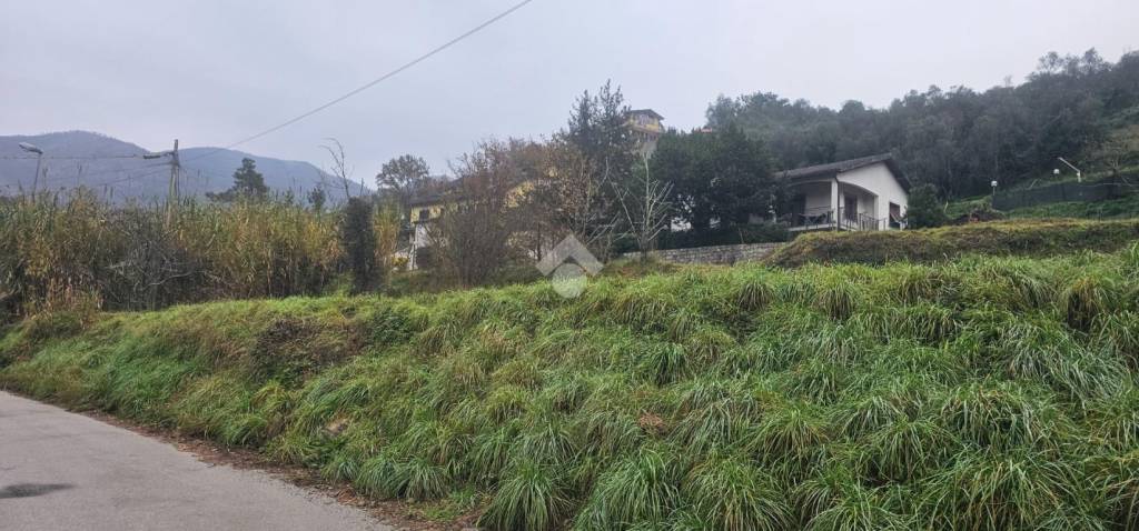 terreno agricolo in vendita a Casarza Ligure in zona Cardini