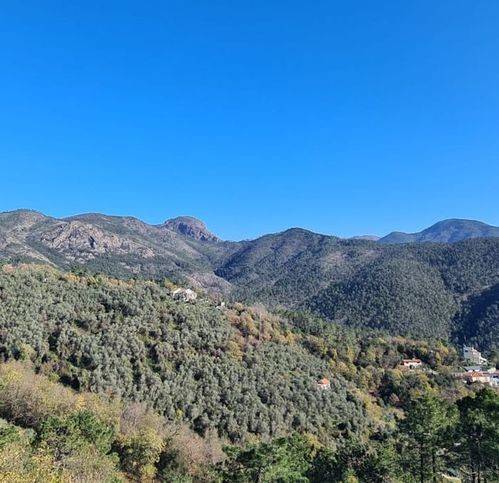 appartamento in vendita a Casarza Ligure