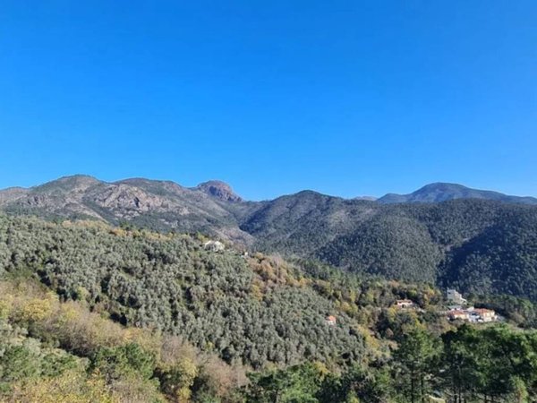 appartamento in vendita a Casarza Ligure