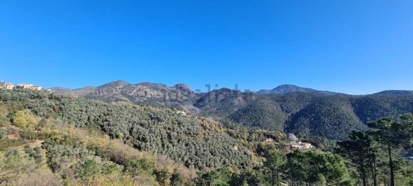 appartamento in vendita a Casarza Ligure