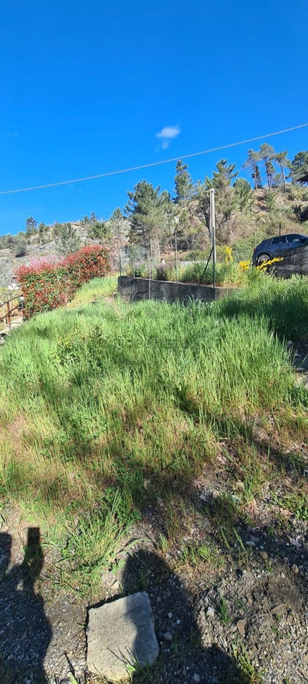 casa indipendente in vendita a Casarza Ligure in zona Massasco