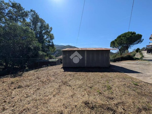 terreno agricolo in vendita a Casarza Ligure