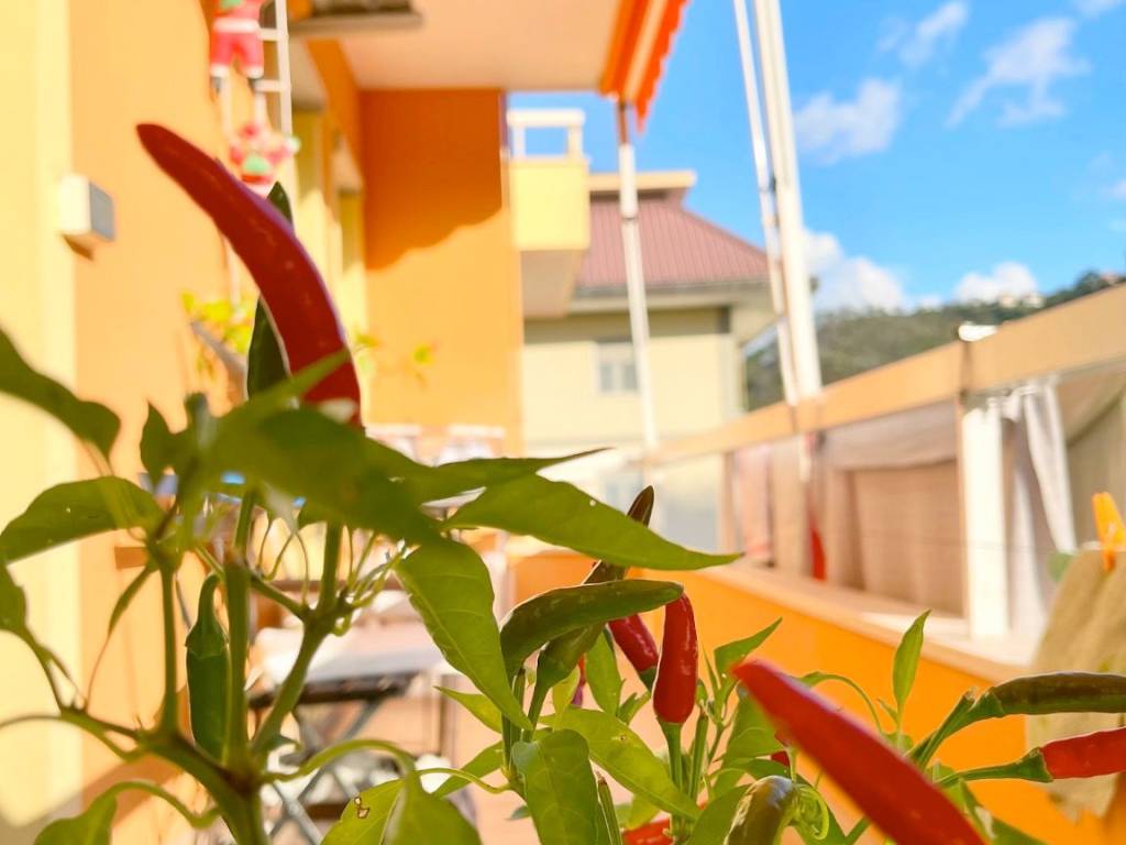 appartamento in vendita a Casarza Ligure
