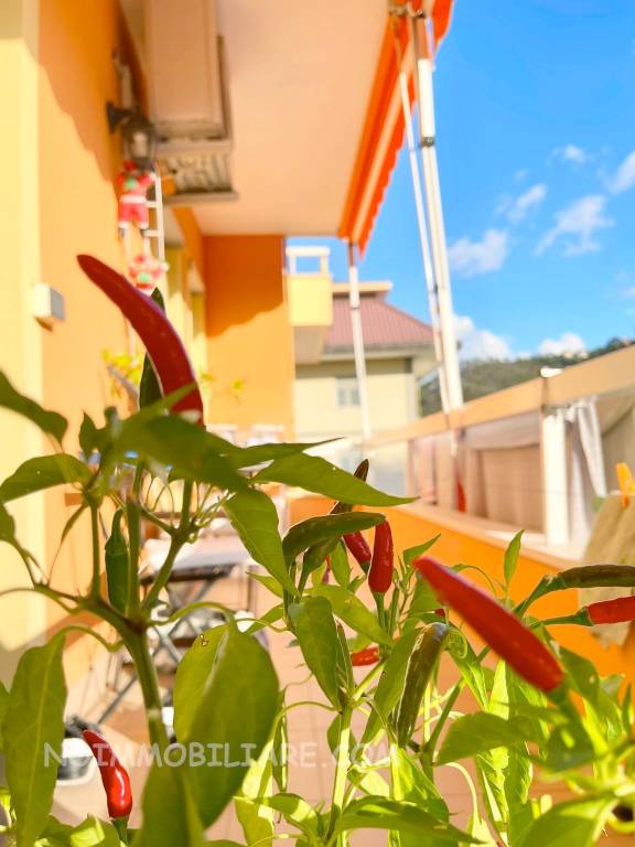 appartamento in vendita a Casarza Ligure in zona Francolano