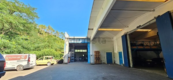 ufficio in vendita a Casarza Ligure