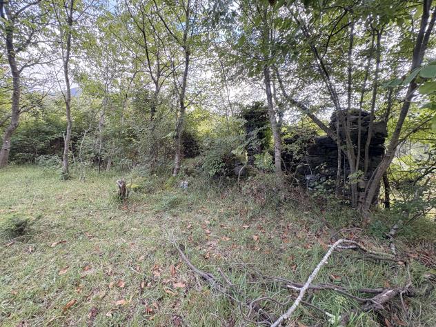 casa indipendente in vendita a Casarza Ligure in zona Bargone